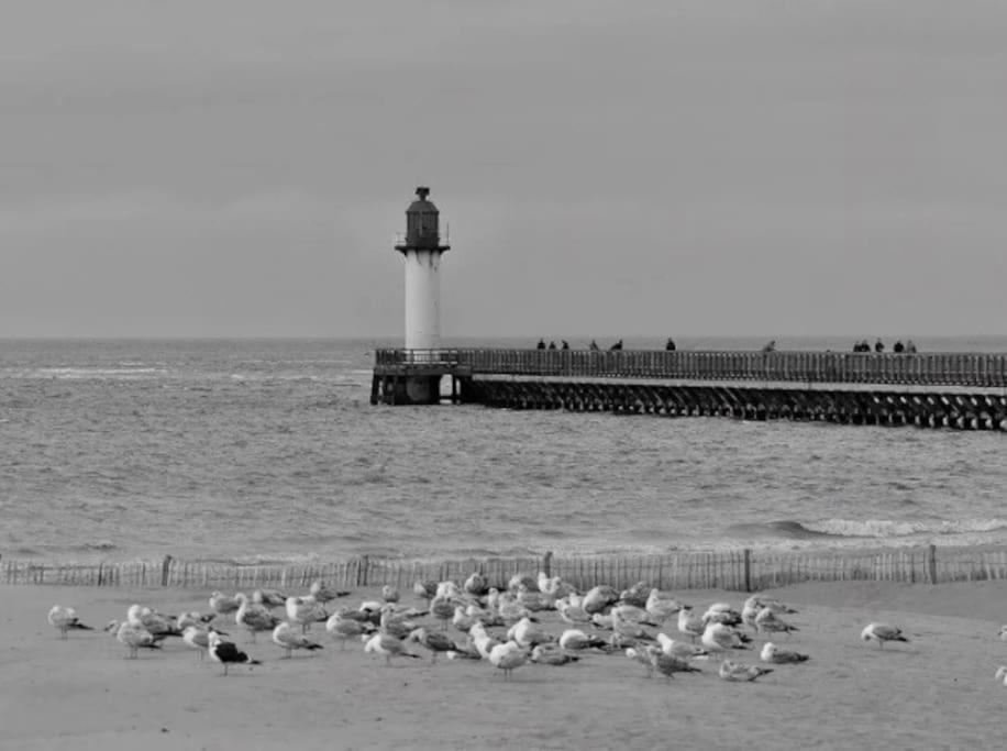 Studio-Calais Plage-Front De Mer ภายนอก รูปภาพ